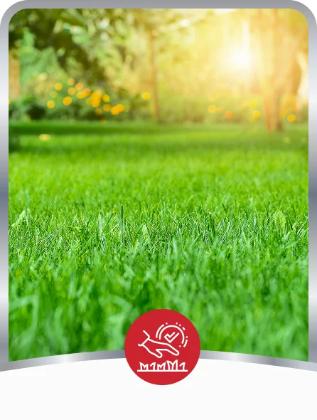 Lawn Care