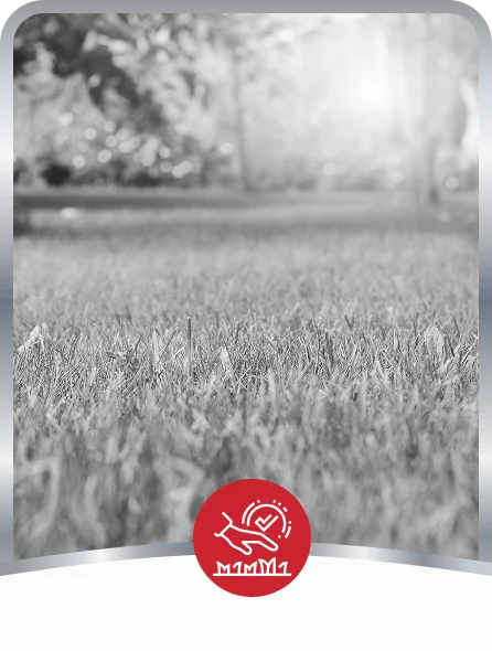 Lawn Care
