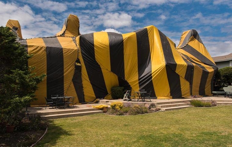 House under fumigation.